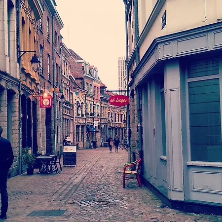 Centre Ville, Beaux Arts Et Grand Palais, Bienvenue Chez Nestyou * Rijsel