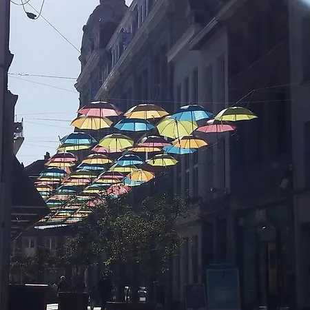 Appartement Centre Ville, Beaux Arts Et Grand Palais, Bienvenue Chez Nestyou Rijsel