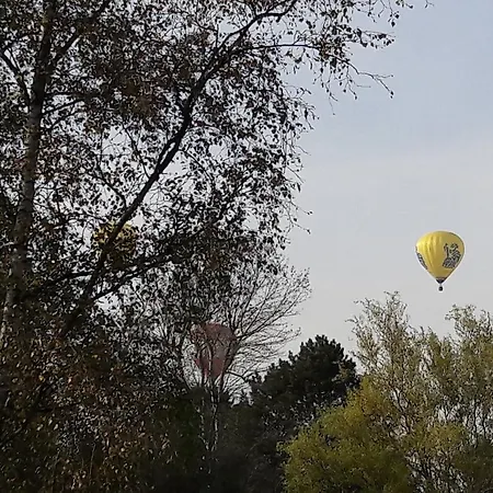 Centre Ville, Beaux Arts Et Grand Palais, Bienvenue Chez Nestyou