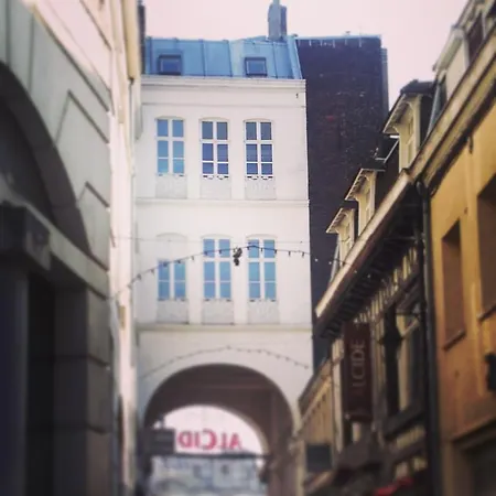 Appartement Centre Ville, Beaux Arts Et Grand Palais, Bienvenue Chez Nestyou *