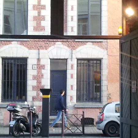 Centre Ville, Beaux Arts Et Grand Palais, Bienvenue Chez Nestyou * Rijsel