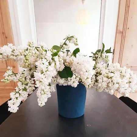 Centre Ville, Beaux Arts Et Grand Palais, Bienvenue Chez Nestyou *