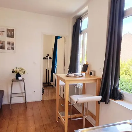 Centre Ville, Beaux Arts Et Grand Palais, Bienvenue Chez Nestyou * Rijsel