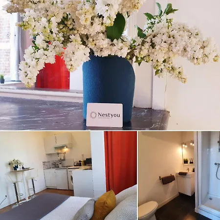Centre Ville, Beaux Arts Et Grand Palais, Bienvenue Chez Nestyou Appartement *