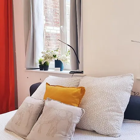 Centre Ville, Beaux Arts Et Grand Palais, Bienvenue Chez Nestyou * Rijsel