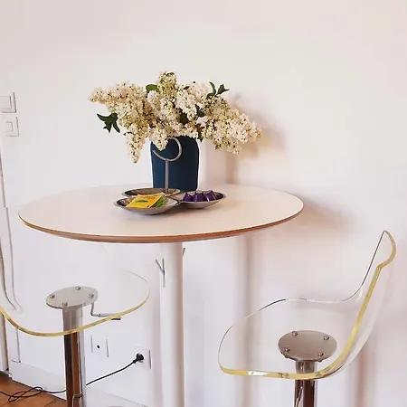 Appartement Centre Ville, Beaux Arts Et Grand Palais, Bienvenue Chez Nestyou