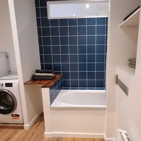 Centre Ville, Beaux Arts Et Grand Palais, Bienvenue Chez Nestyou *