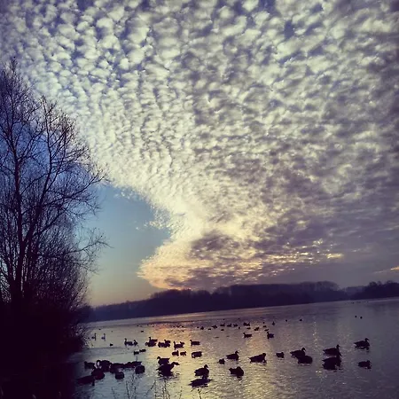 Lägenhet Centre Ville, Beaux Arts Et Grand Palais, Bienvenue Chez Nestyou