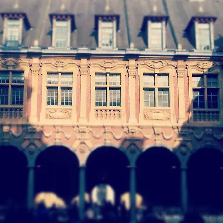 Apartment Centre Ville, Beaux Arts Et Grand Palais, Bienvenue Chez Nestyou Lille