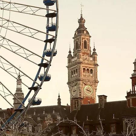 Centre Ville, Beaux Arts Et Grand Palais, Bienvenue Chez Nestyou