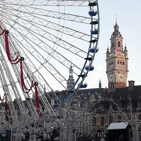 Centre Ville, Beaux Arts Et Grand Palais, Bienvenue Chez Nestyou * Lille