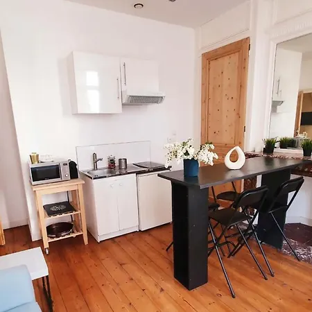 Centre Ville, Beaux Arts Et Grand Palais, Bienvenue Chez Nestyou