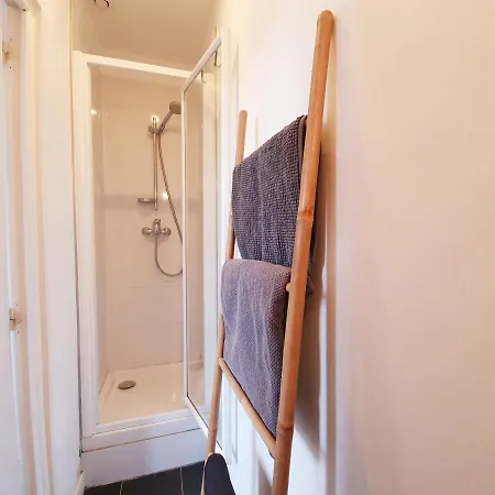 Centre Ville, Beaux Arts Et Grand Palais, Bienvenue Chez Nestyou