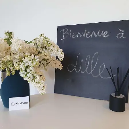 Centre Ville, Beaux Arts Et Grand Palais, Bienvenue Chez Nestyou * Lille