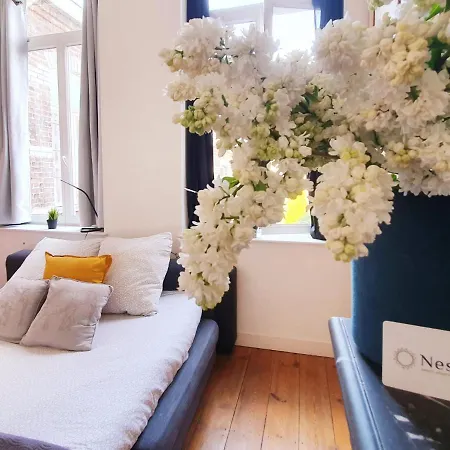 Centre Ville, Beaux Arts Et Grand Palais, Bienvenue Chez Nestyou Apartment