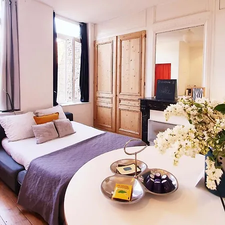 Centre Ville, Beaux Arts Et Grand Palais, Bienvenue Chez Nestyou Lille