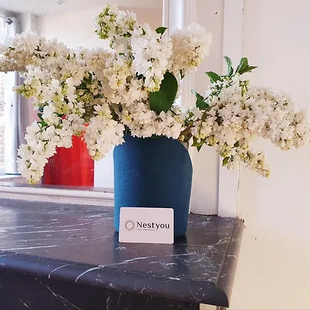 Centre Ville, Beaux Arts Et Grand Palais, Bienvenue Chez Nestyou Lille