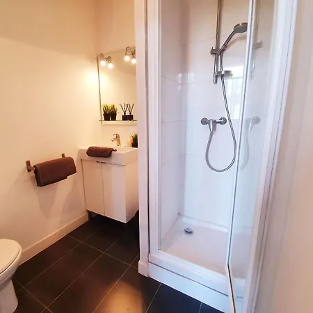 Centre Ville, Beaux Arts Et Grand Palais, Bienvenue Chez Nestyou Lille