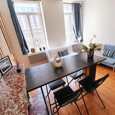 Centre Ville, Beaux Arts Et Grand Palais, Bienvenue Chez Nestyou Apartament