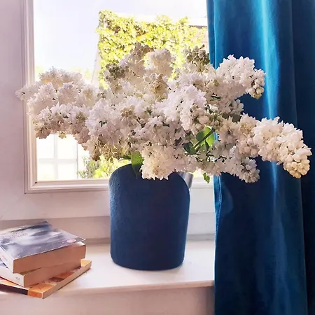 Centre Ville, Beaux Arts Et Grand Palais, Bienvenue Chez Nestyou Lille