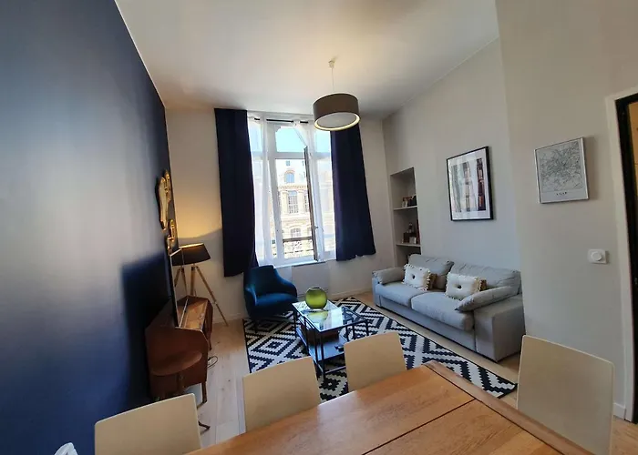 Centre Ville, Beaux Arts Et Grand Palais, Bienvenue Chez Nestyou Daire Lille