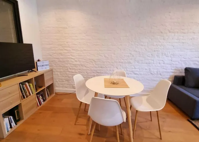Daire Centre Ville, Beaux Arts Et Grand Palais, Bienvenue Chez Nestyou *