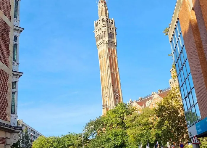 Daire Centre Ville, Beaux Arts Et Grand Palais, Bienvenue Chez Nestyou