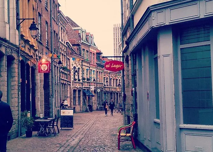 Centre Ville, Beaux Arts Et Grand Palais, Bienvenue Chez Nestyou * Lille
