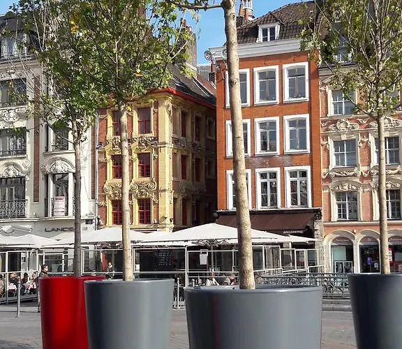 Centre Ville, Beaux Arts Et Grand Palais, Bienvenue Chez Nestyou Daire Lille