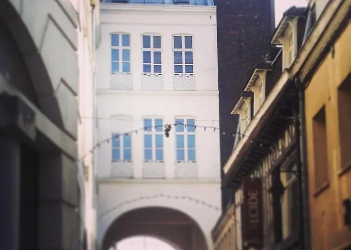 Daire Centre Ville, Beaux Arts Et Grand Palais, Bienvenue Chez Nestyou *