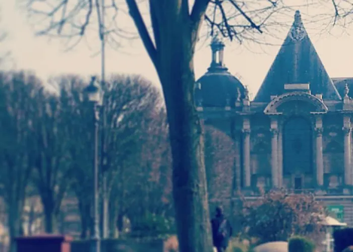 Centre Ville, Beaux Arts Et Grand Palais, Bienvenue Chez Nestyou