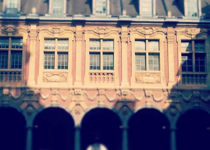 Daire Centre Ville, Beaux Arts Et Grand Palais, Bienvenue Chez Nestyou Lille