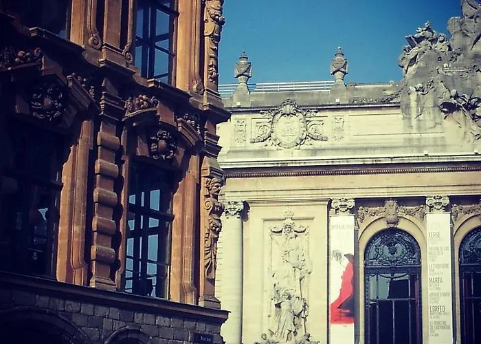 Centre Ville, Beaux Arts Et Grand Palais, Bienvenue Chez Nestyou * Lille