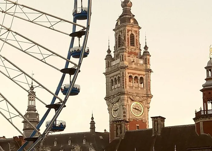 Centre Ville, Beaux Arts Et Grand Palais, Bienvenue Chez Nestyou