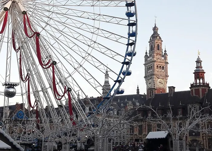 Centre Ville, Beaux Arts Et Grand Palais, Bienvenue Chez Nestyou * Lille