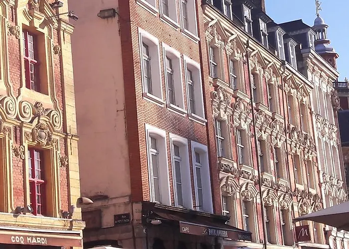 Centre Ville, Beaux Arts Et Grand Palais, Bienvenue Chez Nestyou Lille