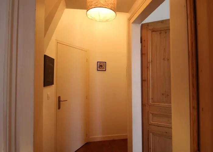 Centre Ville, Beaux Arts Et Grand Palais, Bienvenue Chez Nestyou *