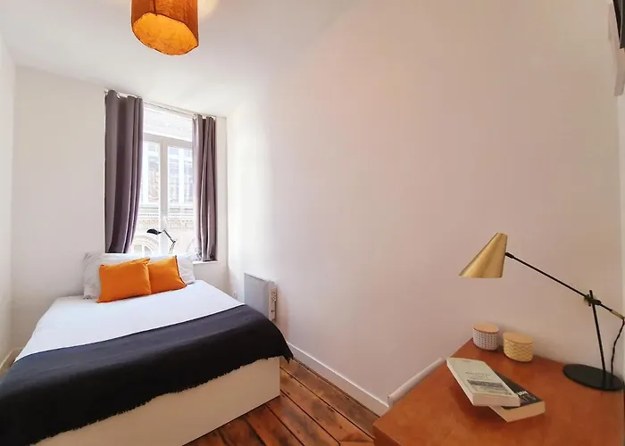 Centre Ville, Beaux Arts Et Grand Palais, Bienvenue Chez Nestyou * Lille