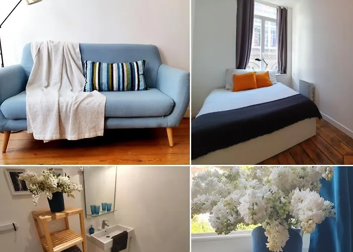 Centre Ville, Beaux Arts Et Grand Palais, Bienvenue Chez Nestyou Daire