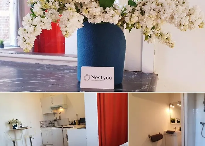 Centre Ville, Beaux Arts Et Grand Palais, Bienvenue Chez Nestyou Daire *