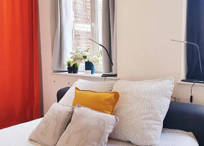 Centre Ville, Beaux Arts Et Grand Palais, Bienvenue Chez Nestyou * Lille
