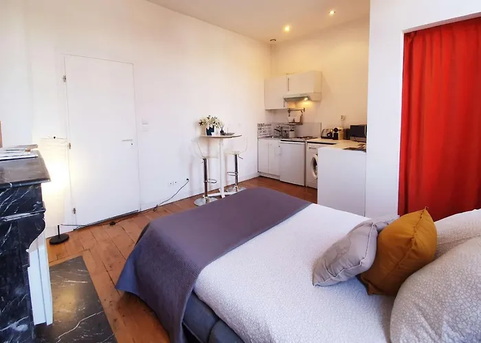 Centre Ville, Beaux Arts Et Grand Palais, Bienvenue Chez Nestyou * Lille