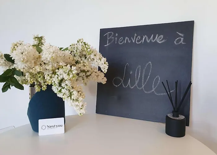 Centre Ville, Beaux Arts Et Grand Palais, Bienvenue Chez Nestyou * Lille