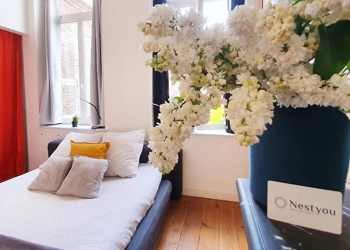 Centre Ville, Beaux Arts Et Grand Palais, Bienvenue Chez Nestyou Daire