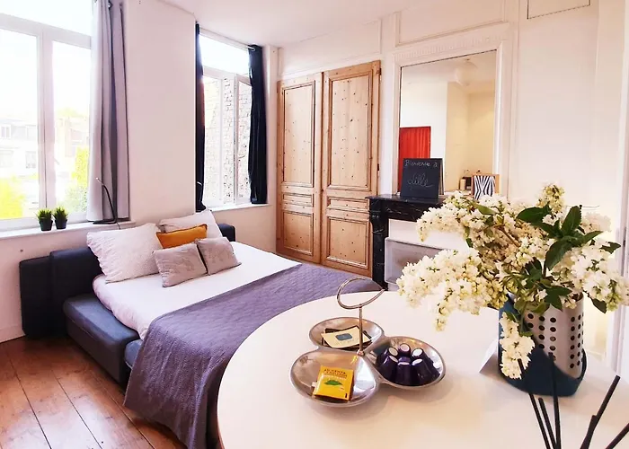 Centre Ville, Beaux Arts Et Grand Palais, Bienvenue Chez Nestyou Lille