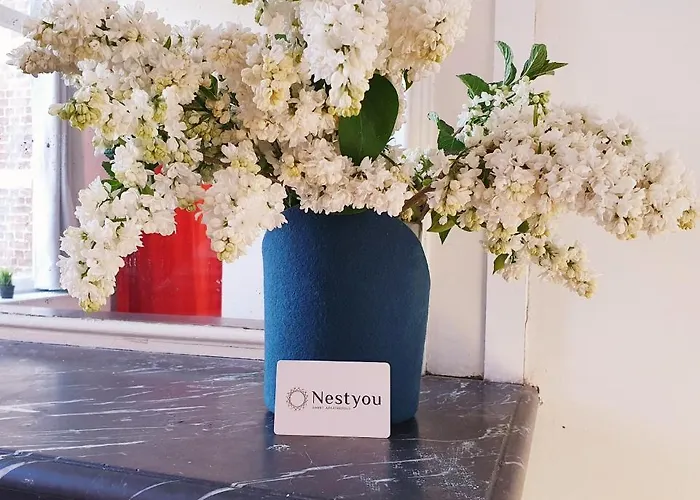 Centre Ville, Beaux Arts Et Grand Palais, Bienvenue Chez Nestyou Lille