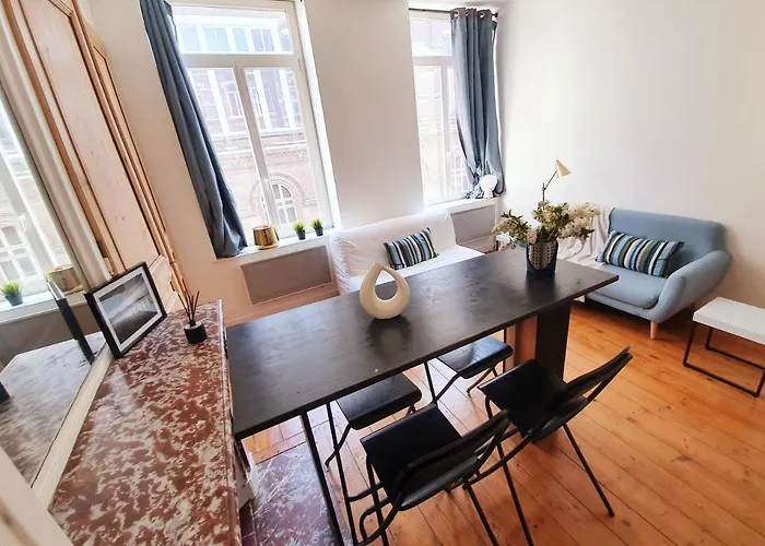 Centre Ville, Beaux Arts Et Grand Palais, Bienvenue Chez Nestyou Daire